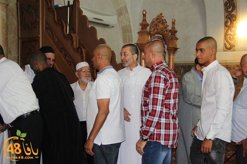 3ed ad7a mahmoudaia (34).JPG